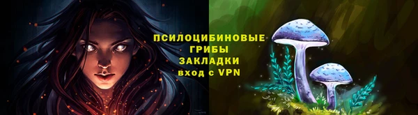 прущий лед Белокуриха