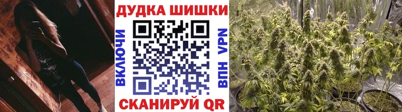 Шишки марихуана гибрид Мариинский Посад